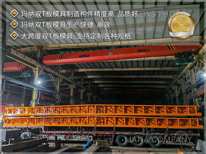 1727167643580379.jpg 瑪納雙T板模具02.jpg